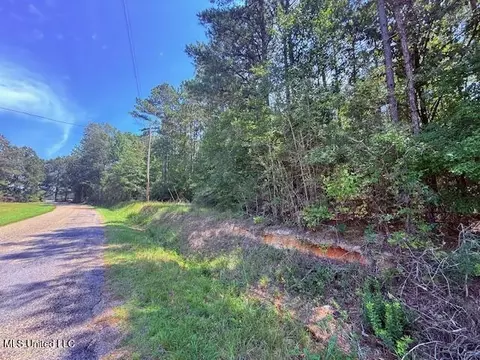Brandon Bay Church Road, Tylertown, MS 39667