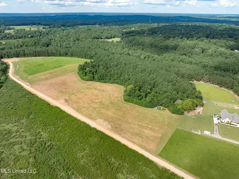 Parcel A J. Runnels Road, Petal, MS 39465