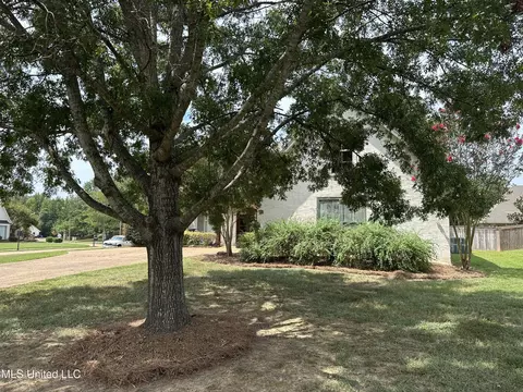 172 Sonnett Cir, Madison, MS 39110 photo 40
