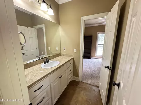 172 Sonnett Cir, Madison, MS 39110 photo 27