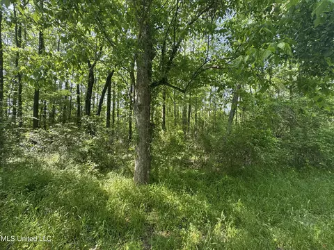 0001 Old Hwy 471, Brandon, MS 39042