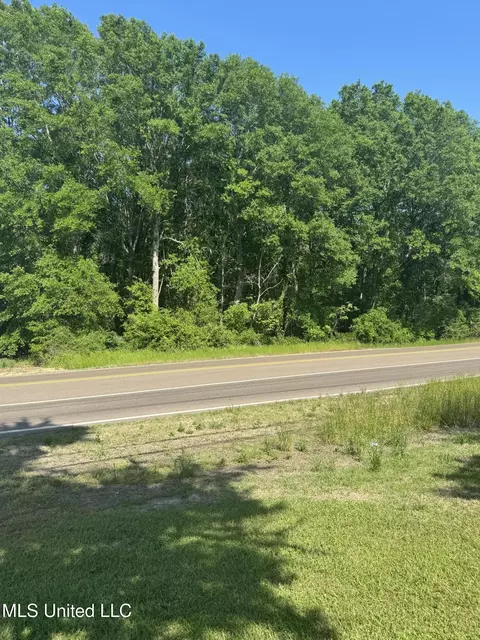 0001 Old Hwy 471, Brandon, MS 39042 photo 6