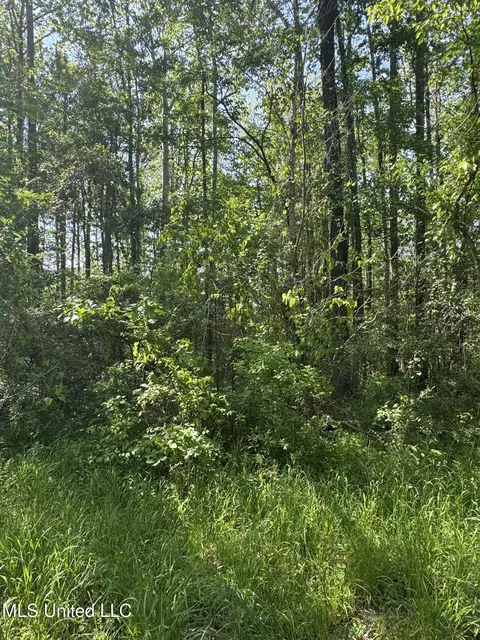 0001 Old Hwy 471, Brandon, MS 39042 photo 9
