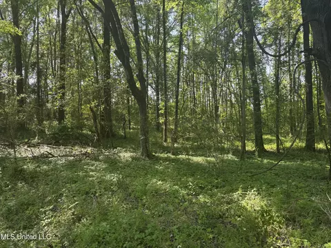 0001 Old Hwy 471, Brandon, MS 39042 photo 8