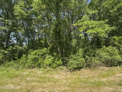 0001 Old Hwy 471, Brandon, MS 39042 photo 5