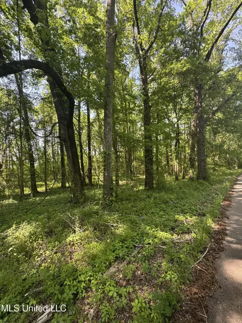 0001 Old Hwy 471, Brandon, MS 39042 photo 4