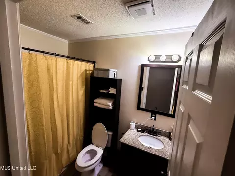 Bath - 310 E Cherry Dr, Petal, MS 39465 photo 1 of 1