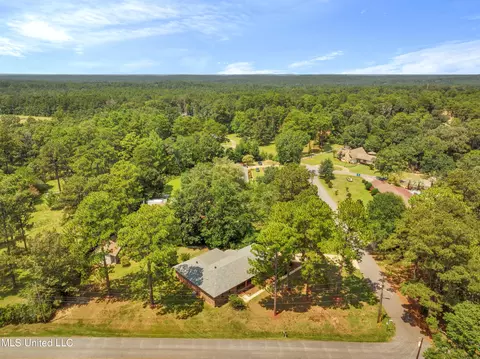 22 Teresa Dr, Lucedale, MS 39452 photo 50
