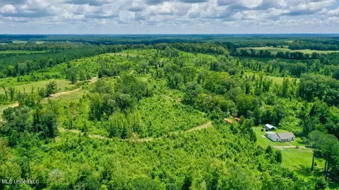 12079 Bowling Green Rd # A, Durant, MS 39063