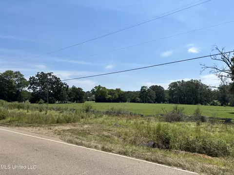 Baker Lane Lane, Brandon, MS 39047 photo 11