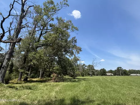 Baker Lane Lane, Brandon, MS 39047 photo 7