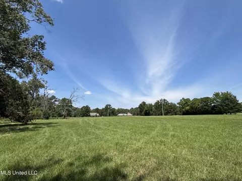 Baker Lane Lane, Brandon, MS 39047 photo 4