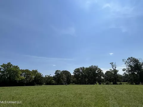 Baker Lane Lane, Brandon, MS 39047 photo 12