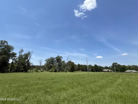 Baker Lane Lane, Brandon, MS 39047 photo 10