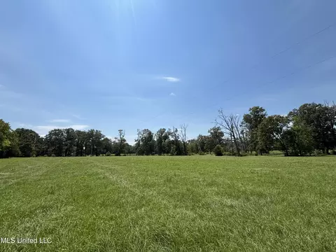 Baker Lane Lane, Brandon, MS 39047 photo 2