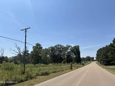 Baker Lane Lane, Brandon, MS 39047 photo 5