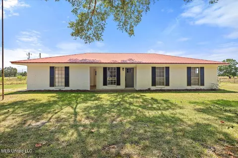 439 New Hope Rd, Mount Olive, MS 39119
