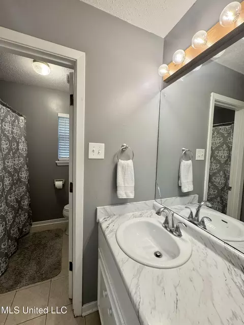 Bath - 37 Woodgate Dr, Brandon, MS 39042 photo 4 of 4
