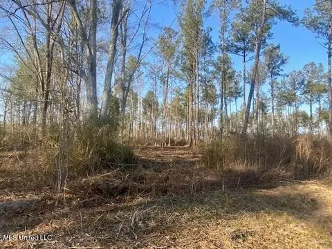 James Ratliff Road, Jayess, MS 39641 photo 4
