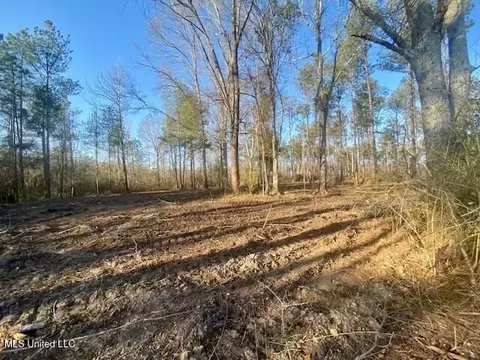 James Ratliff Road, Jayess, MS 39641 photo 5