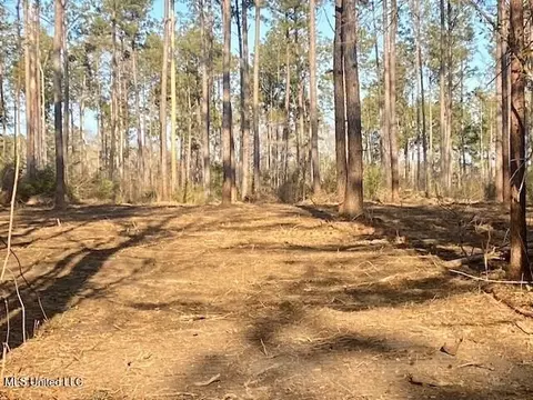 James Ratliff Road, Jayess, MS 39641 photo 3