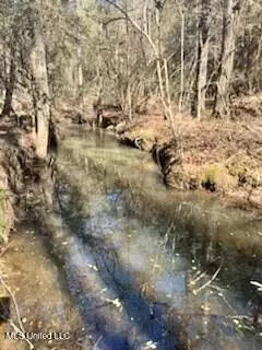 James Ratliff Road, Jayess, MS 39641 photo 2