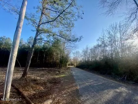 James Ratliff Road, Jayess, MS 39641 photo 6