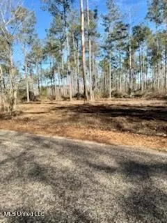 James Ratliff Road, Jayess, MS 39641 photo 7