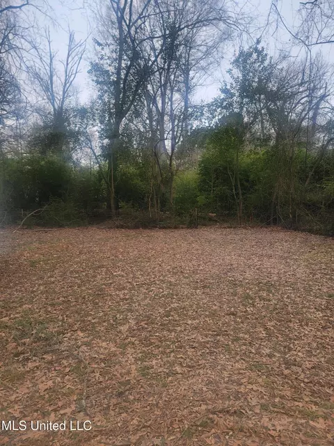 Exterior - 443 Meadowbrook Rd, Jackson, MS 39206 photo 3 of 5