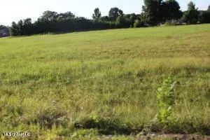 6 Chapel Hill Subdivision, Holly Springs, MS 38635