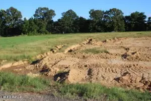 9 Chapel Hill Subdivision, Holly Springs, MS 38635