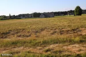 25 Chapel Hill Subdivision, Holly Springs, MS 38635