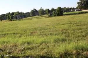 27 Chapel Hill Subdivision, Holly Springs, MS 38635