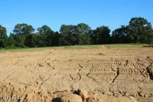31 Chapel Hill Subdivision, Holly Springs, MS 38635