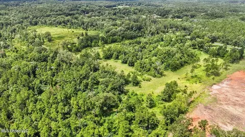 24 9 Acres Basin Central Rd, Lucedale, MS 39452 photo 8