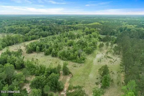 24 9 Acres Basin Central Rd, Lucedale, MS 39452 photo 3