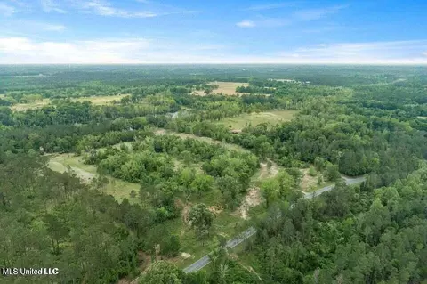 24 9 Acres Basin Central Rd, Lucedale, MS 39452 photo 2