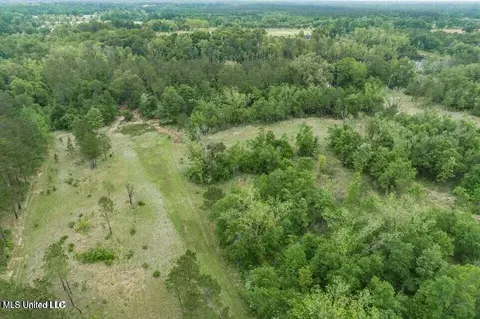 24 9 Acres Basin Central Rd, Lucedale, MS 39452 photo 5