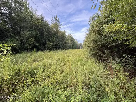 0 Burnt Bridge Rd, Ellisville, MS 39437