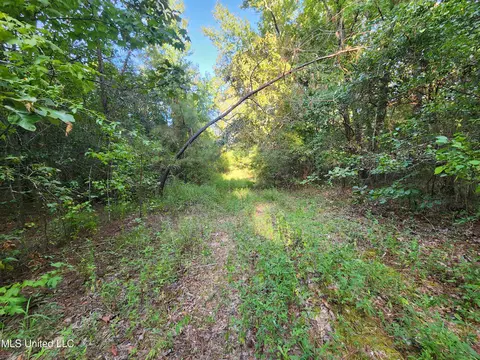 Cayce Road, Byhalia, MS 38611 photo 14