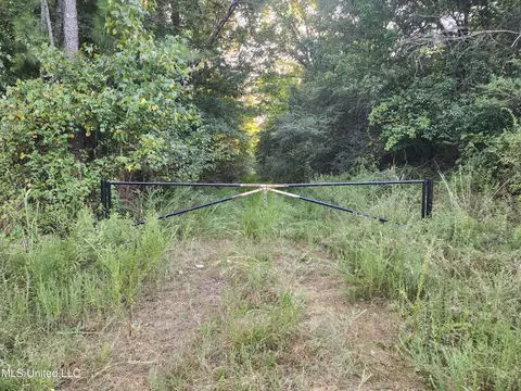 Cayce Road, Byhalia, MS 38611 photo 2