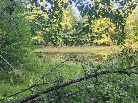 Cayce Road, Byhalia, MS 38611 photo 17