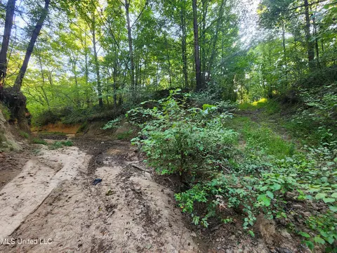 Cayce Road, Byhalia, MS 38611 photo 22