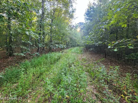 Cayce Road, Byhalia, MS 38611 photo 13