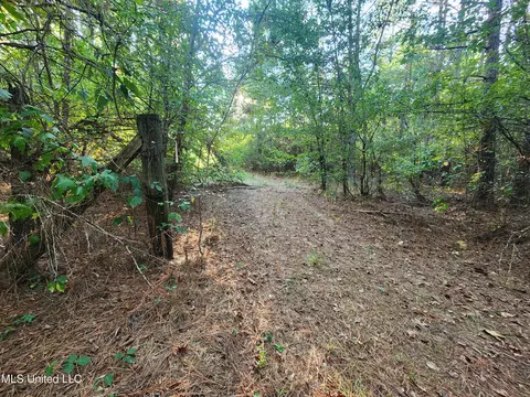 Cayce Road, Byhalia, MS 38611 photo 10