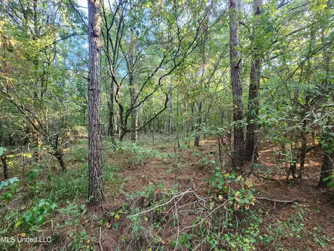 Cayce Road, Byhalia, MS 38611 photo 20