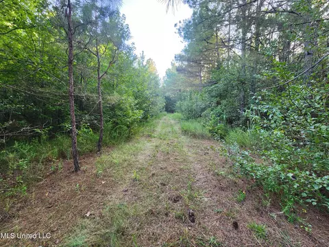 Cayce Road, Byhalia, MS 38611 photo 11