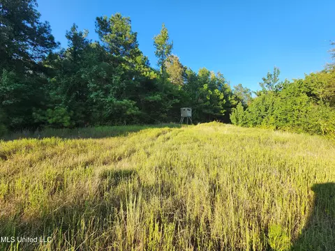 Cayce Road, Byhalia, MS 38611 photo 5