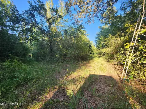 Cayce Road, Byhalia, MS 38611 photo 18