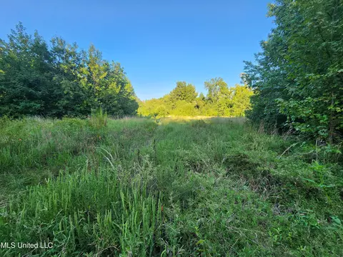 Cayce Road, Byhalia, MS 38611 photo 9